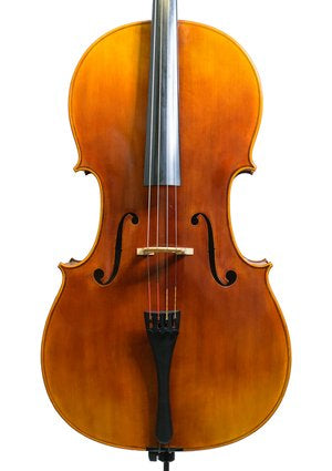 Snow SC100 4/4 Cello Outfit