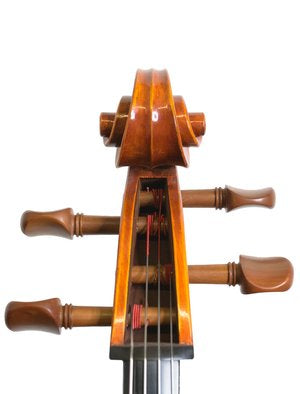 Snow SC100 4/4 Cello Outfit