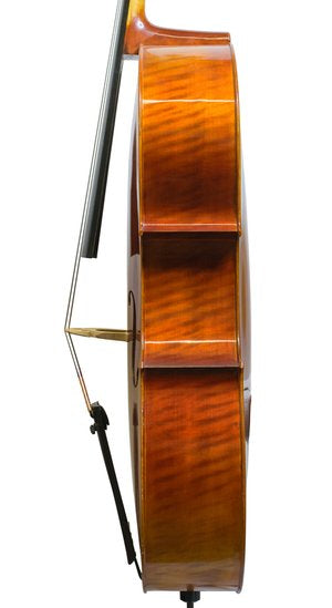 Snow SC100 4/4 Cello Outfit