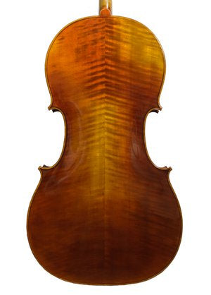 Snow SC100 4/4 Cello Outfit