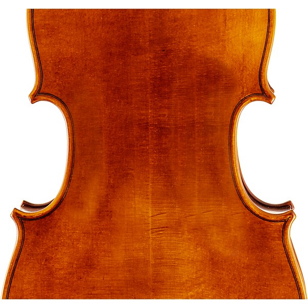 Scherl & Roth SR62E16H Viola Outfit