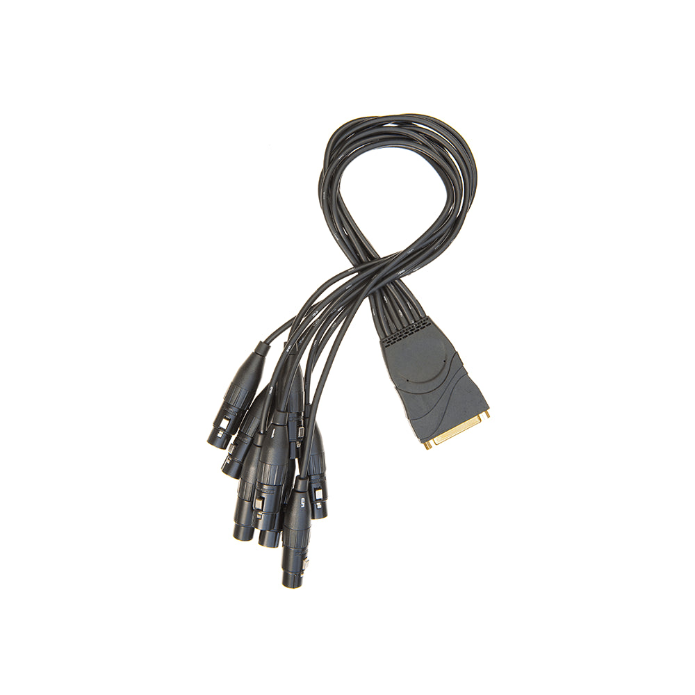 D'Addario Modular Snake System Breakout DB25 Female - XLR Female